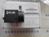 FLIR 菲力尔 BFS-PGE-31S4C-C 工业相机