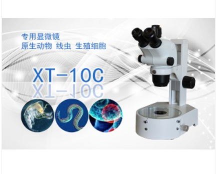 PUZHE     蒲柘      XT-10C      体视显微镜