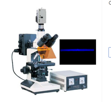 CAIKON      蔡康      50UVC      显微镜