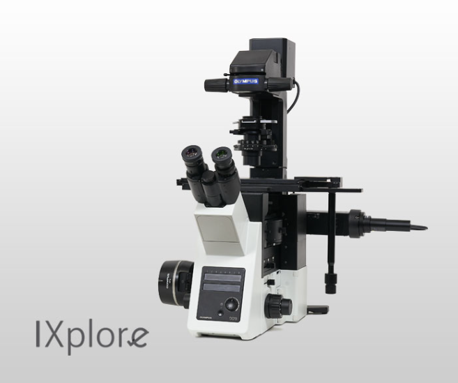 OLYMPUS  奥林巴斯    IXplore Standard 研究级显微镜