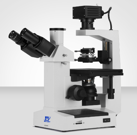 Murzider   迈时迪       MSD502      生物显微镜