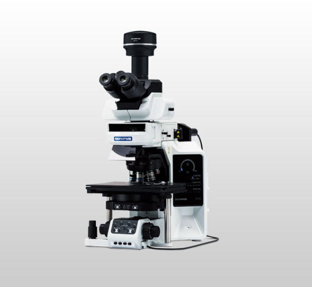 OLYMPUS  奥林巴斯   BX63 电动荧光显微镜