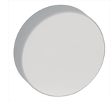 THORLABS 索雷博   CCM254-200-G01 凹形柱面反射镜