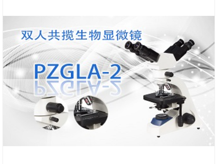 PUZHE     蒲柘      PZGLA-2      多人共览显微镜