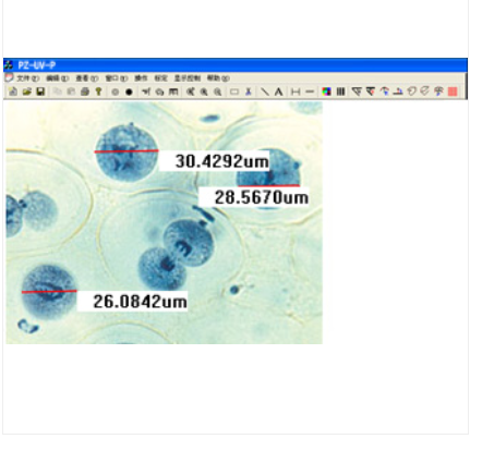 PUZHE     蒲柘    PZ-UV-P     生物显微镜软件